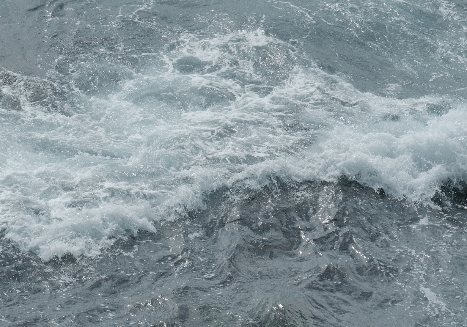 © PHOTO BY PAVEL NEMTIN